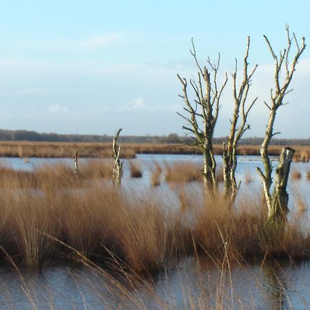 Hotel Bitter En Zoet Veenhuizen Exteriér fotografie